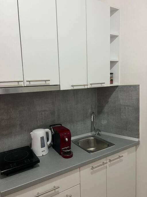 Sany Center Apartment 贝尔格莱德 外观 照片